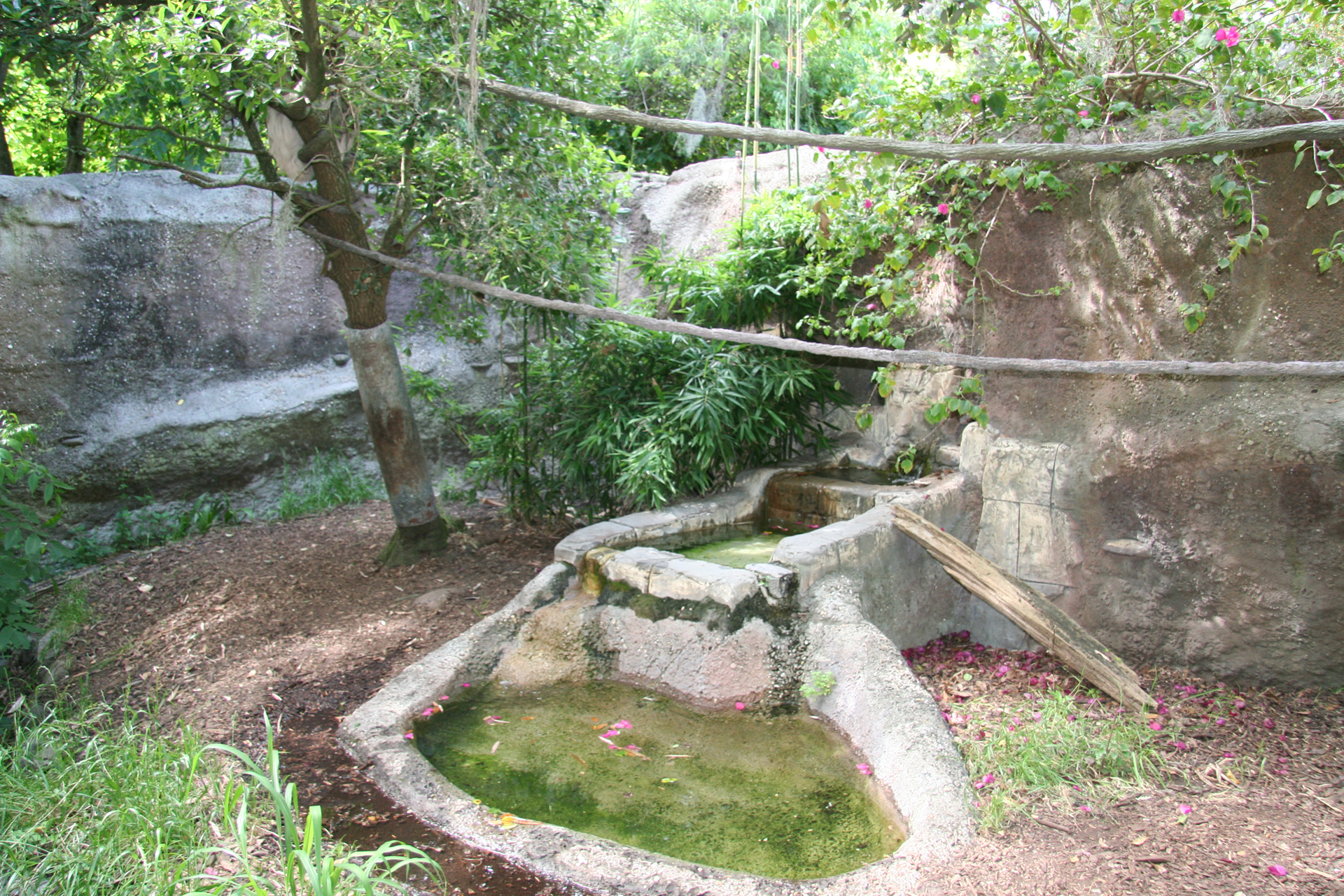 Naturnahe Wasserstelle im Stil einer Ausgrabungsstätte/Natural water feature designed like an excavation site